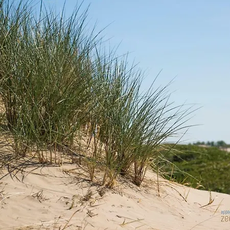 Zee En Duinzicht 78 *