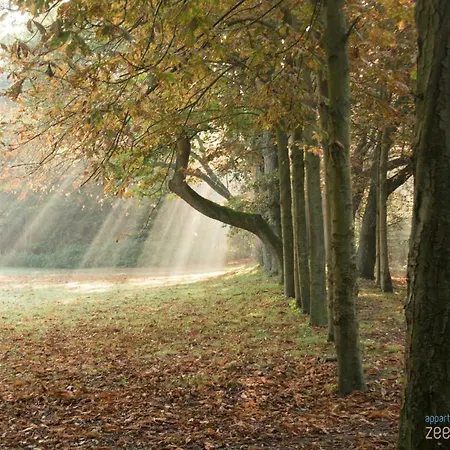 דירה Zee En Duinzicht 78 *